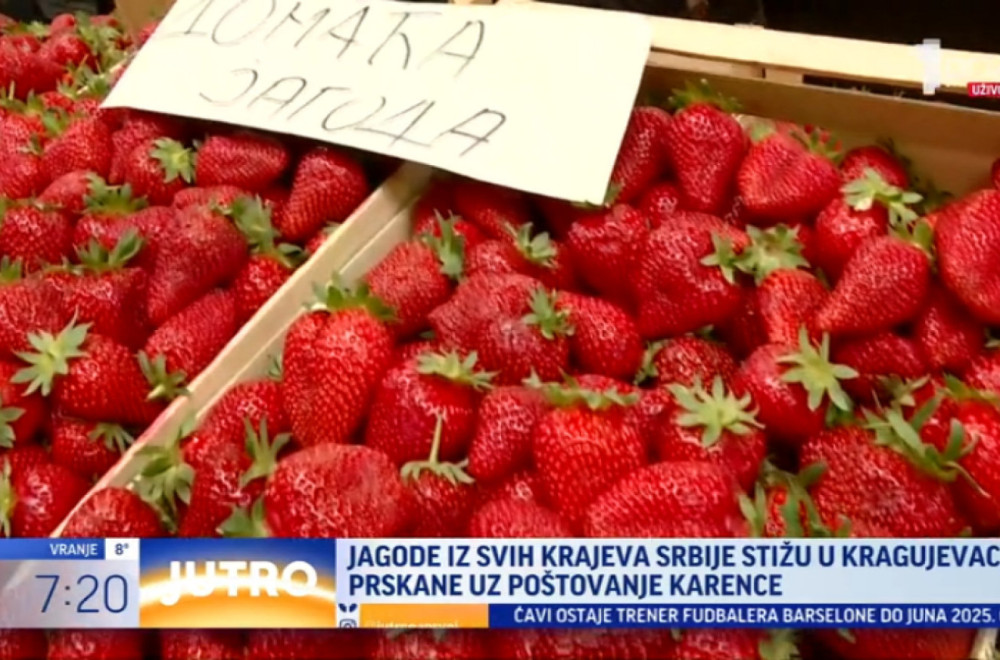 Jagode iz svih krajeva Srbije stižu u Kragujevac VIDEO