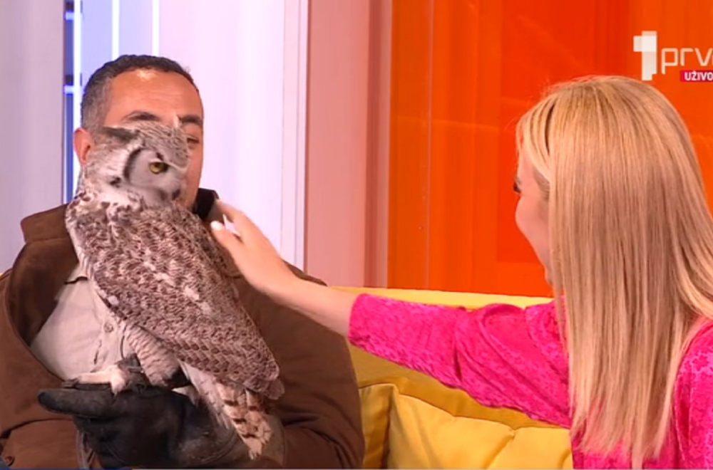 Neobična situacija na TV Prva: Voditeljka pomazila sovu, to se njoj nije dopalo VIDEO