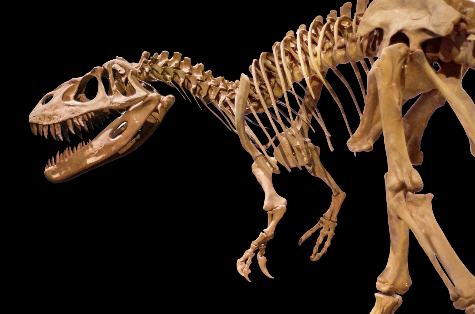 Naučnici pronašli tragove stare 120 miliona godina koji bi mogli da otkriju istinu o dinosaurusima