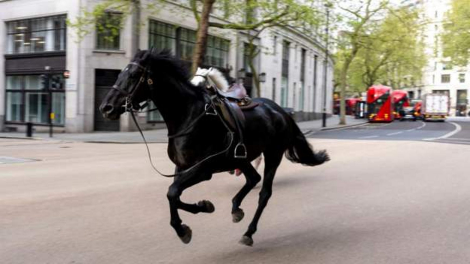 Odbegli konji galopirali ulicama Londona
