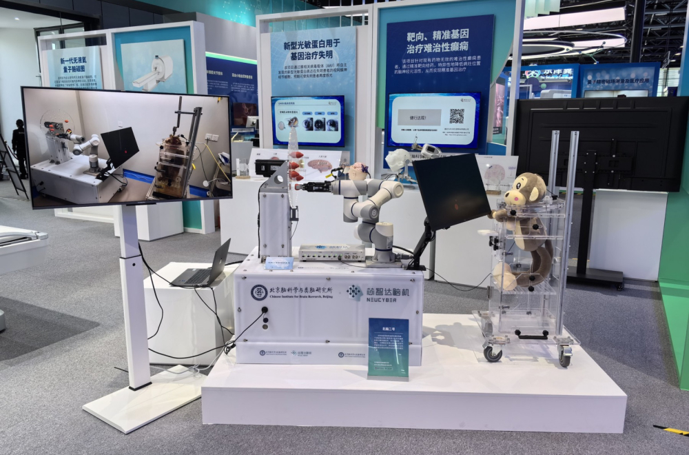 Kinezi napravili sopstveni čip za mozak