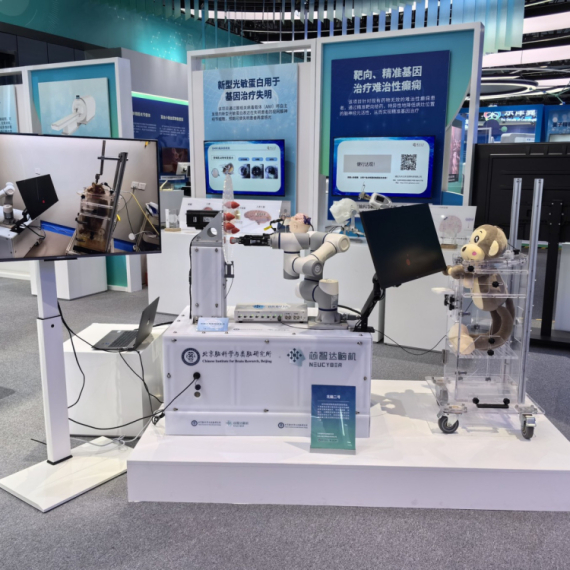 Kinezi napravili sopstveni čip za mozak