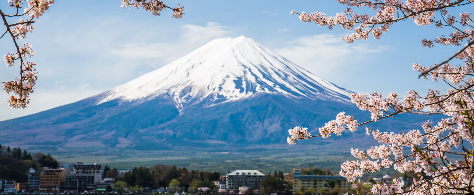 Japanci ne žele turiste: Ogradama zaklanjaju turističke atrakcije FOTO