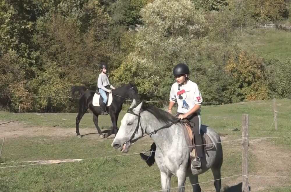Ljubav prema konjima pretočila u odličnu biznis ideju