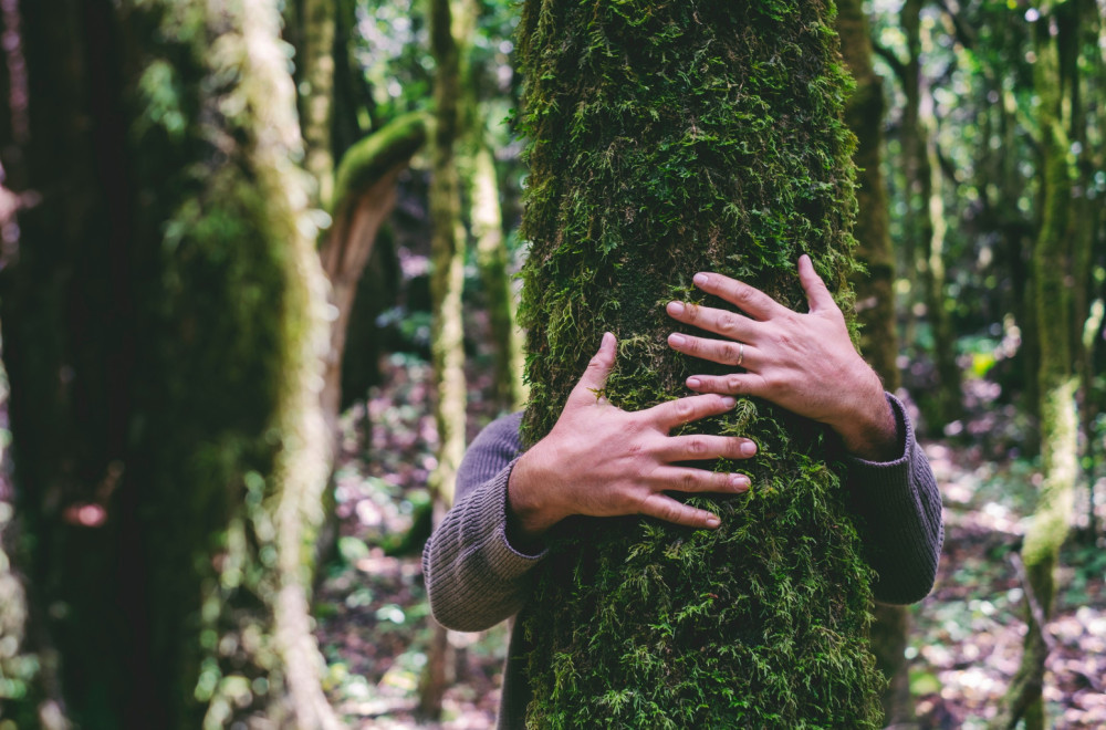 Muškarac iz Gane oborio svetski rekord u grljenju stabla FOTO