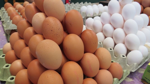 Kragujevac: Kontrola jaja, suhomesnatih i mlečnih proizvoda na pijacama