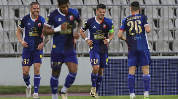 "Lepotica" kapitena Vojvodine u Humskoj VIDEO