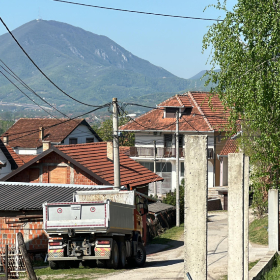Sve im uništeno pred praznike: Lisica uništila kokošinjac kod Čačka