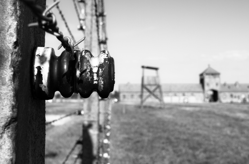 Skandal: Rusi oslobodili Aušvic, zabranili im prisustvo na obeležavanju 80 godina od oslobođenja