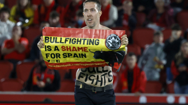 Prekinut meč LaLige – "borba bikova je sramota Španije"