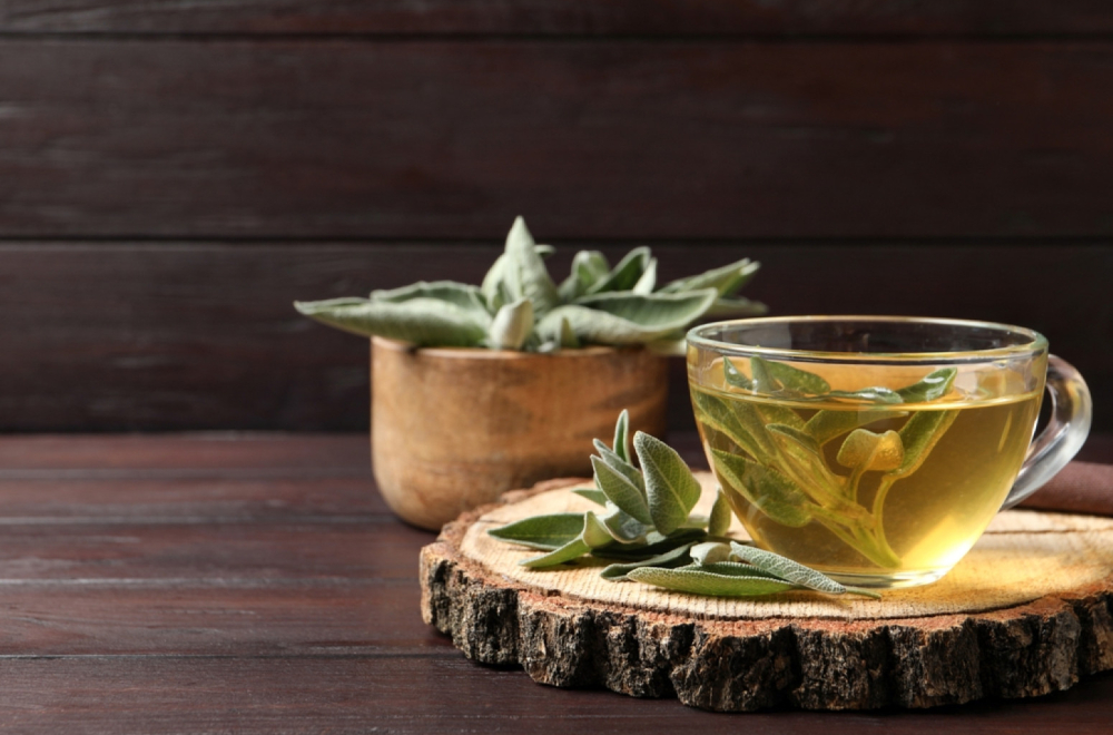 Žalfija nudi niz blagodeti za naš organizam: Pomaže kod menopauze, dijabetesa, kancera...