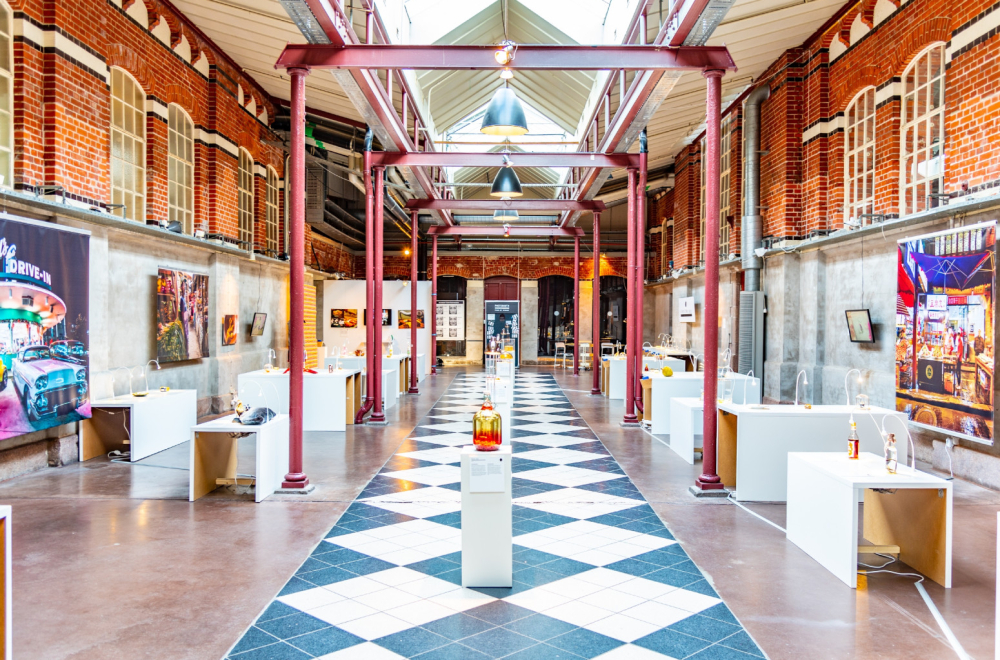 Ljudi plaćaju 19 evra kako bi videli osušene smrdibube i zamorčiće u ovom muzeju FOTO/VIDEO