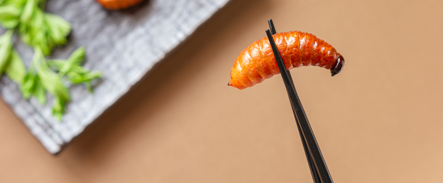 Ljudi plaćaju 19 evra kako bi videli osušene smrdibube i zamorčiće u ovom muzeju FOTO/VIDEO