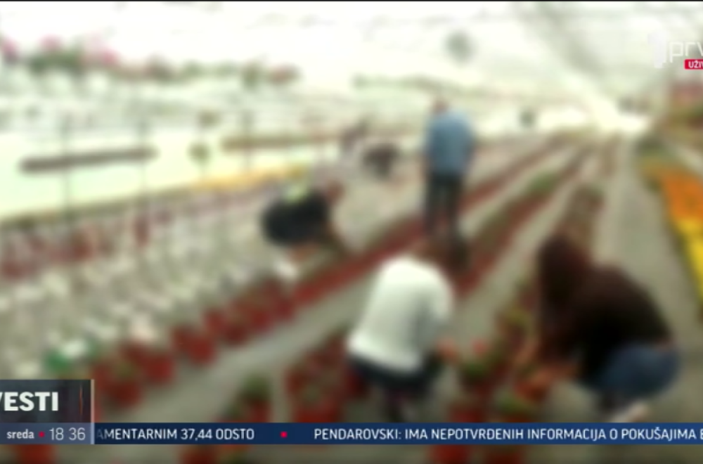 Jedinstvena ustanova u Kruševcu: Ovo nema nigde u Srbiji, ali i šire VIDEO