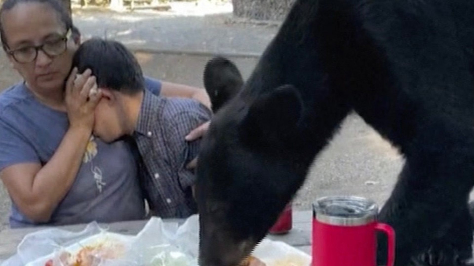 Meksiko: Medved iznenadio izletnike posluživši se na pikniku