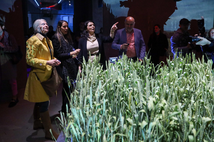 Maj mesec matematike (M3) prvi put u Novom Sadu Biotehnologija: Algoritmi prirode