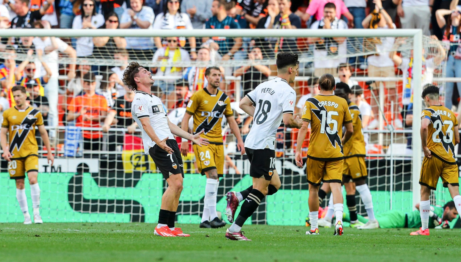 Mirne mreže na Mestalji