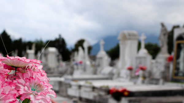 Jeziv slučaj u Americi: Muškarac ukrao preko 100 ljudskih lobanja sa groblja