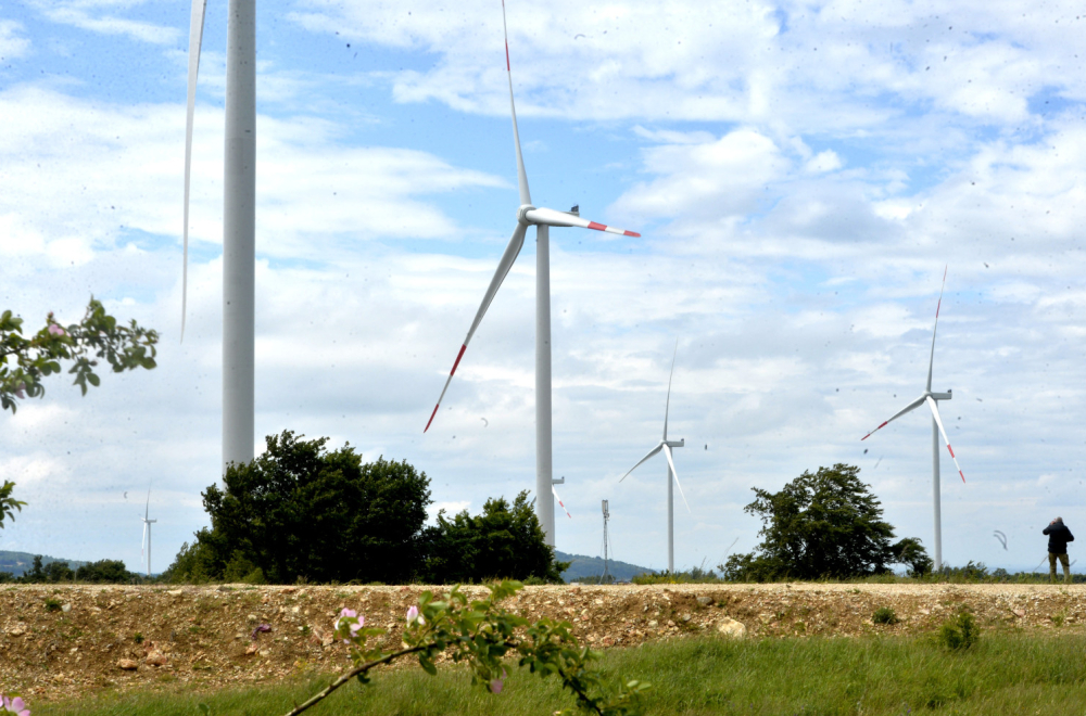Pušten u rad prvi vetropark u istočnoj Srbiji