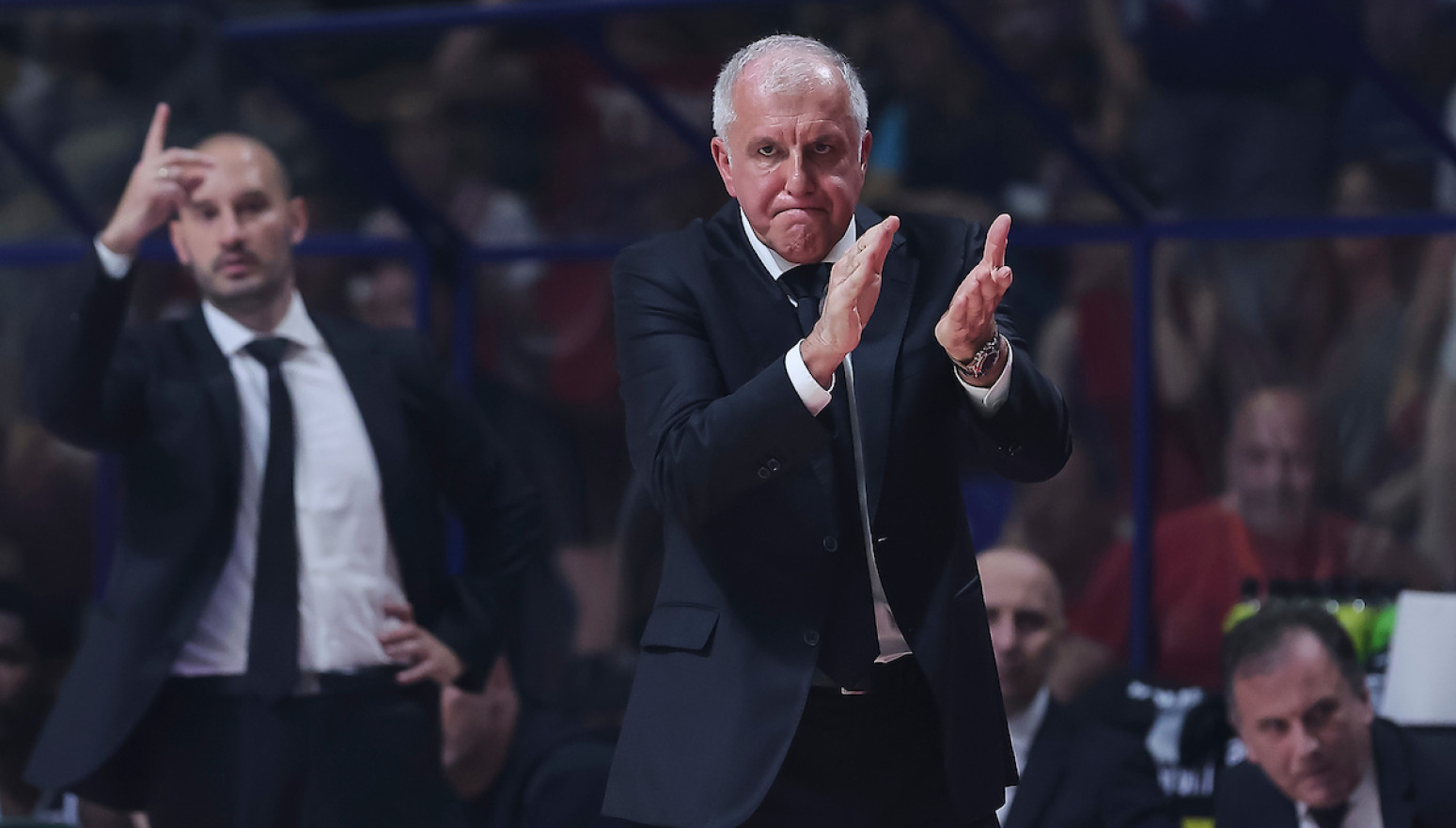 Obradović: "Zbog toga smo izgubili"