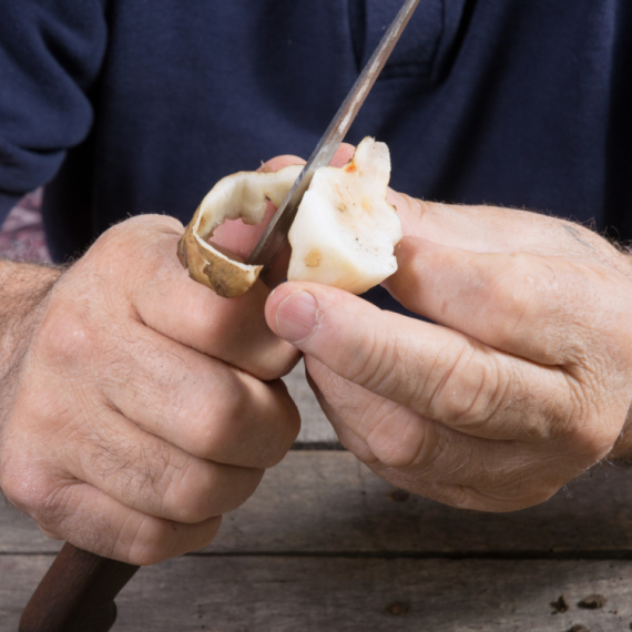 Ljuštenjem artičoka zarade 4 prosečne plate: "Niko ne može iz prvog pokušaja"