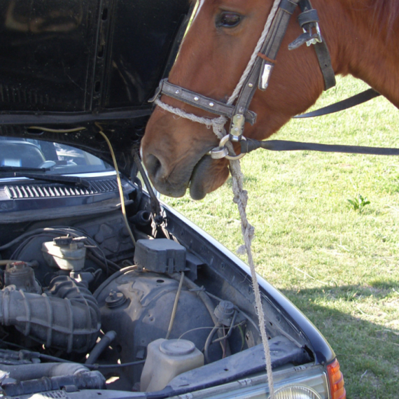 Nisu sve konjske snage iste: Šta znači KS, kW, CV, PS, HP, BHP, WHP?
