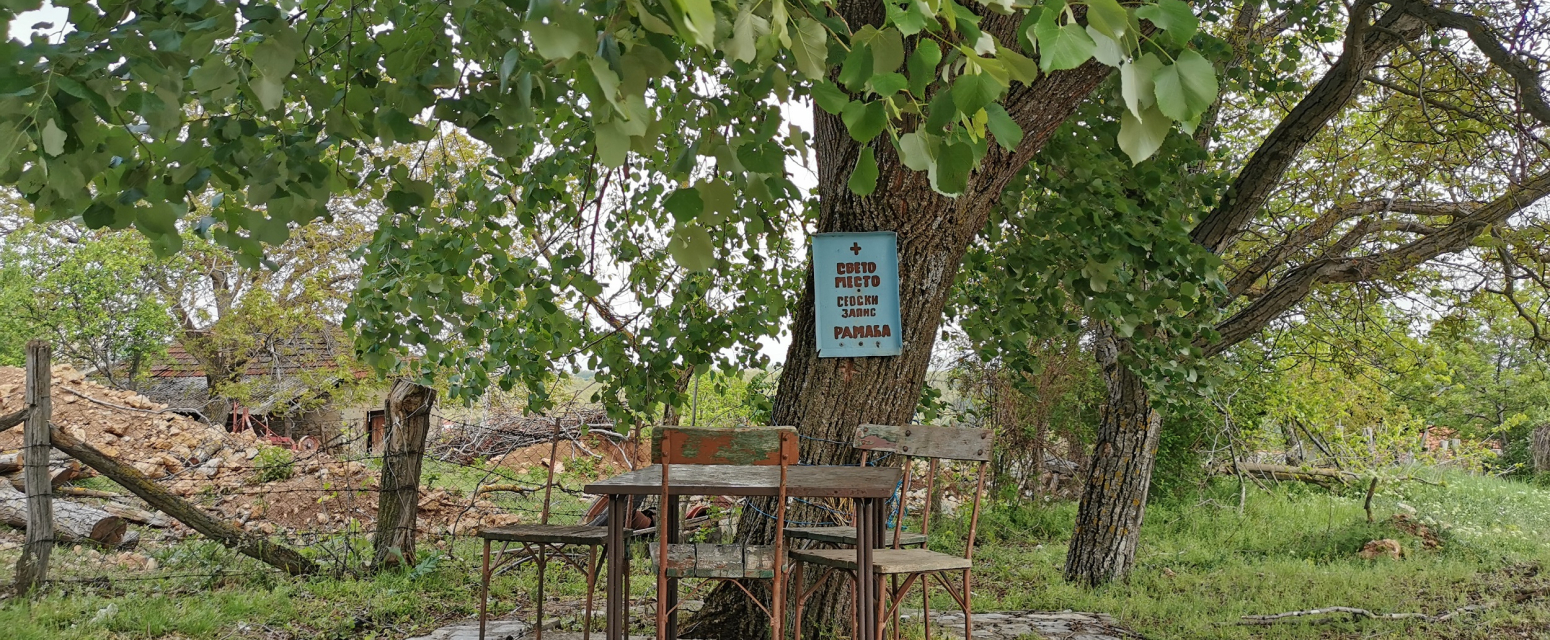 Drvo kao svedok prošlih vremena: Kultno mesto koje štiti od nesreće FOTO