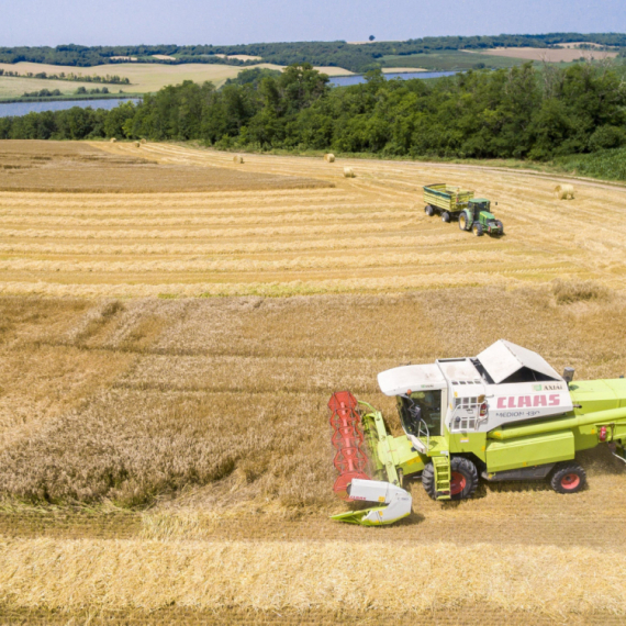 Preti slaba žetva u Ukrajini