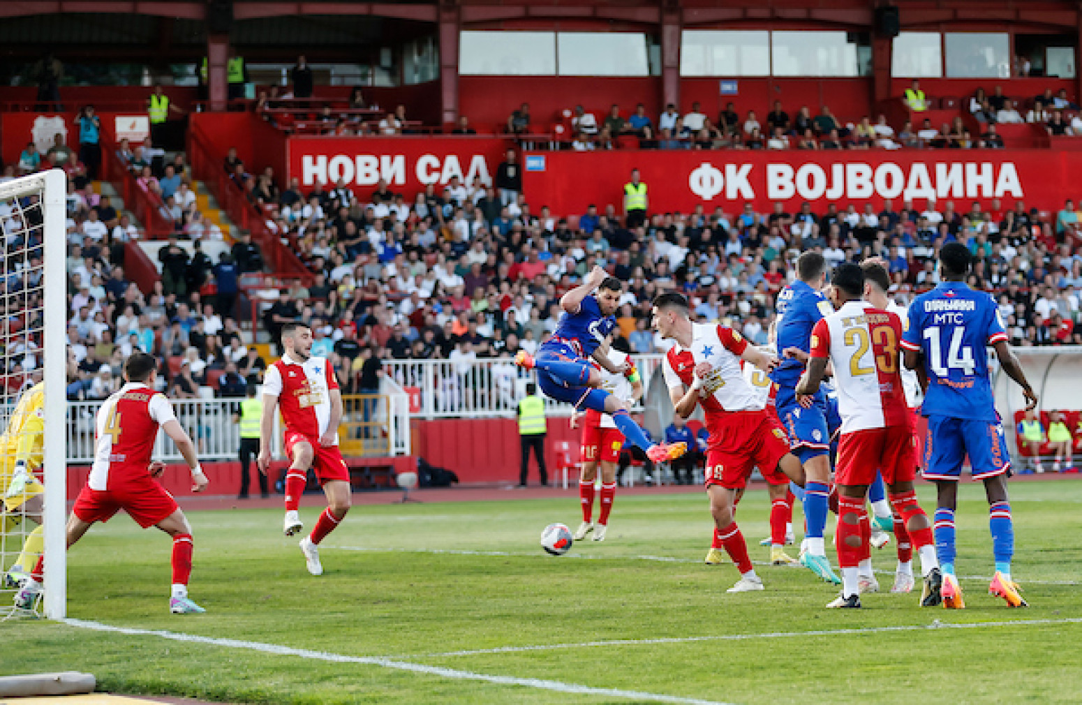 Crveno-belo finale u Loznici – Lale za Evropu, a Zvezda za duplu krunu