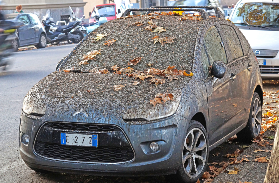 Ptičji izmet može ozbiljno da ošteti automobil: Evo zašto ga treba odmah ukloniti