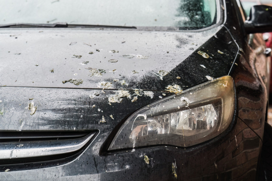 Ptičji izmet može ozbiljno da ošteti automobil: Evo zašto ga treba odmah ukloniti