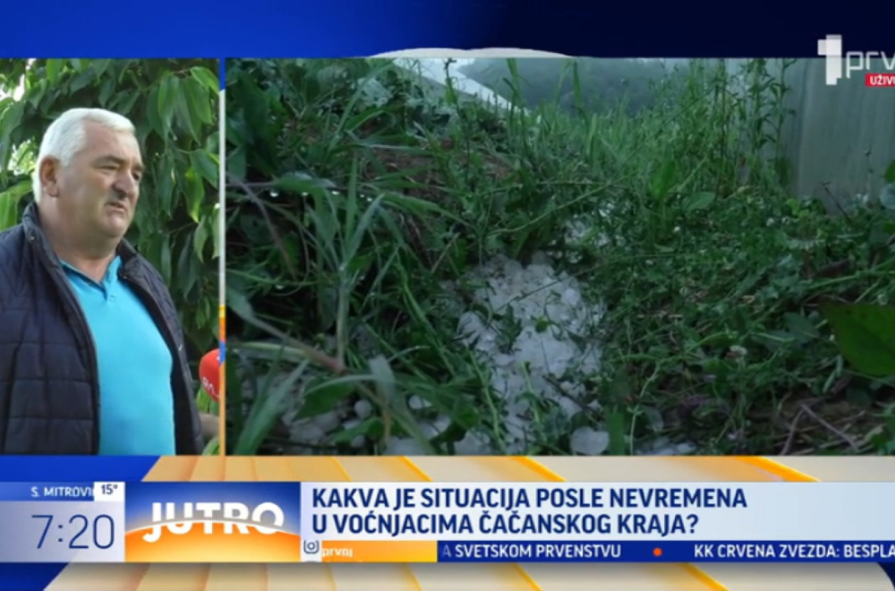 Da li je nevreme napravilo štetu u voćnjacima? VIDEO