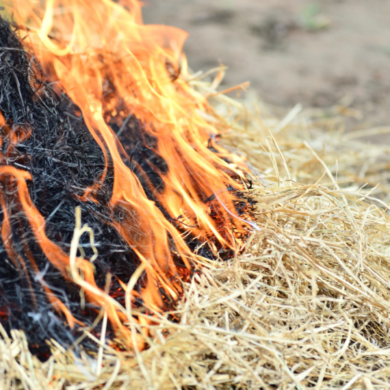 Počela kontrola: Ovo više ne sme da se spaljuje na teritoriji Subotice