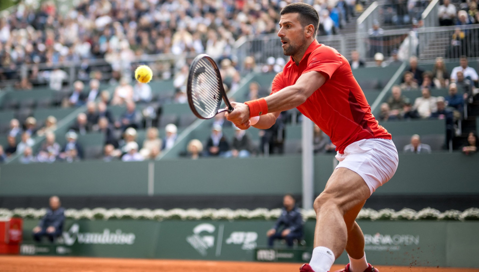 Novak: "Moglo je da ode i u drugom smeru" VIDEO