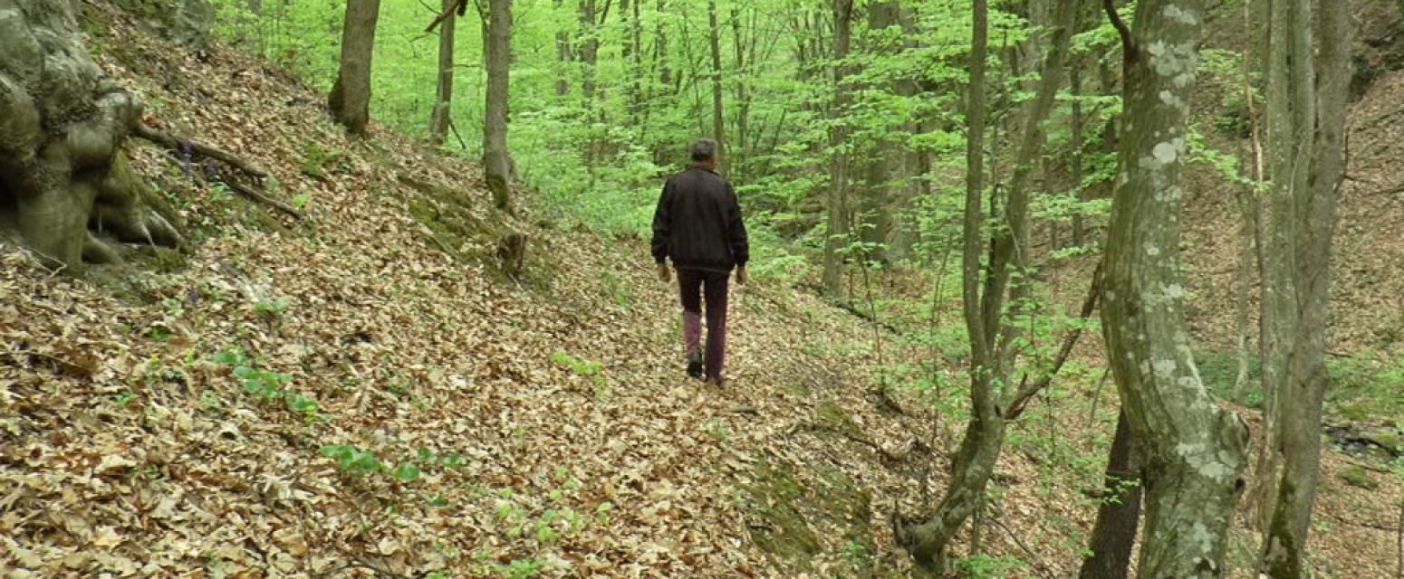 Blago još uvek nije pronađeno, samo hrabri ga traže u pećini: Legenda o skrivenom zlatu Nemanjića i dalje živi