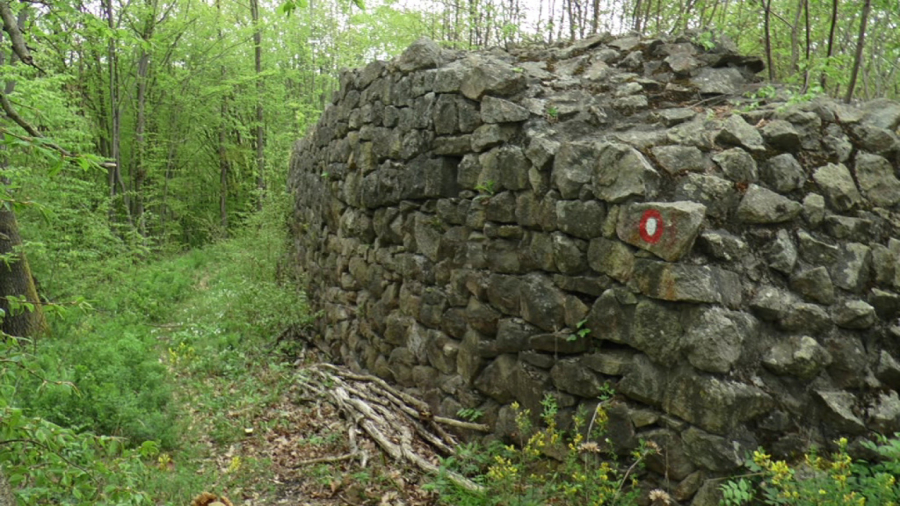 Blago još uvek nije pronađeno, samo hrabri ga traže u pećini: Legenda o skrivenom zlatu Nemanjića i dalje živi