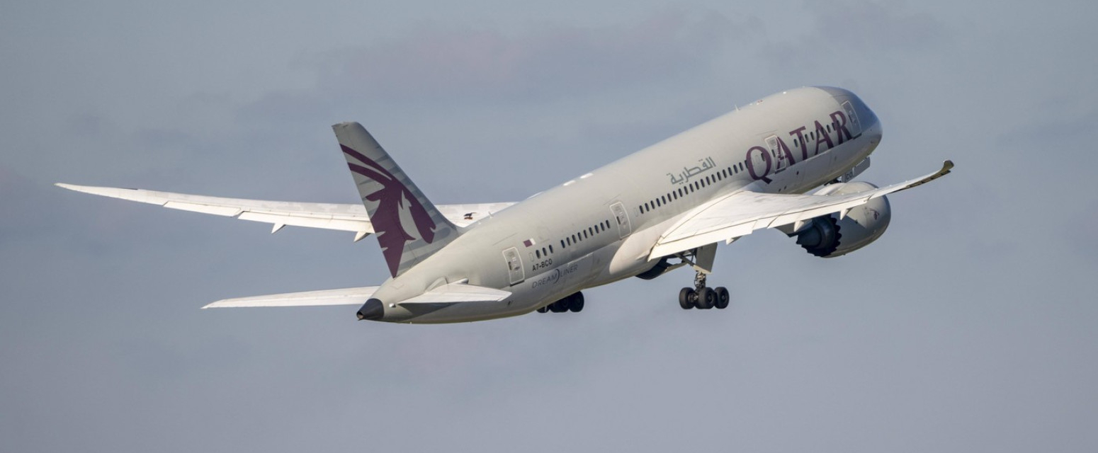 Putovali pored leša; Avio-kompanija: "Profesionalno"