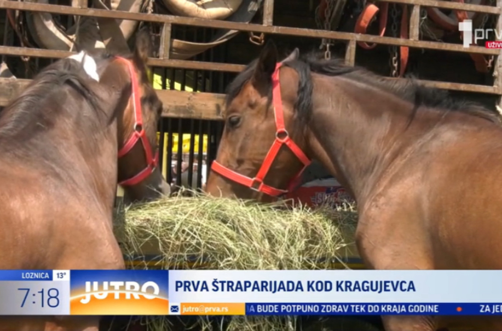 Održana prva Štraparijada kod Kragujevca: Nekoliko hiljada posetilaca iz celog regiona VIDEO