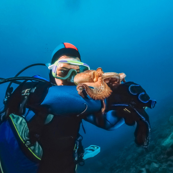 Hobotnica navodila čoveka do misterioznog predmeta na dnu okeana VIDEO
