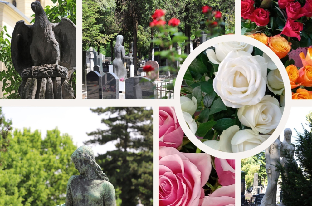 Govor cveća: Univerzalni simbol ljubavi, dostojanstva i ponovnog rađanja