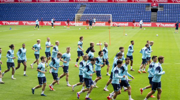 Koliko može Srbija protiv ovakve Danske?