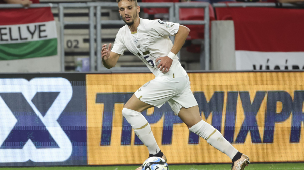 Stojković o izostanku Erakovića: "Apsurd da idemo sa devet štopera"