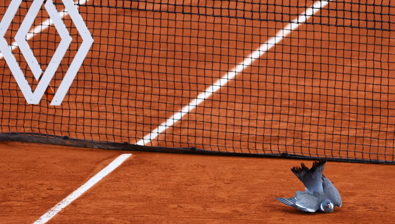 Bizarna situacija na meču Medvedeva FOTO