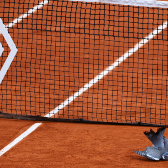 Bizarna situacija na meču Medvedeva FOTO