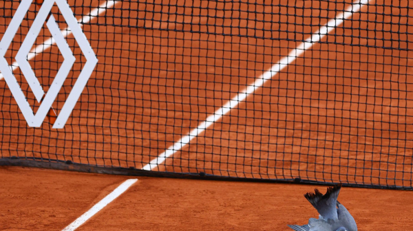 Bizarna situacija na meču Medvedeva FOTO