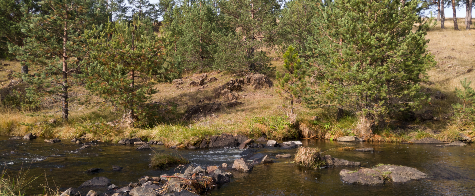 Ova banja je savršena za beg od gradske vreve: Noćenje košta manje od 1.000 dinara FOTO