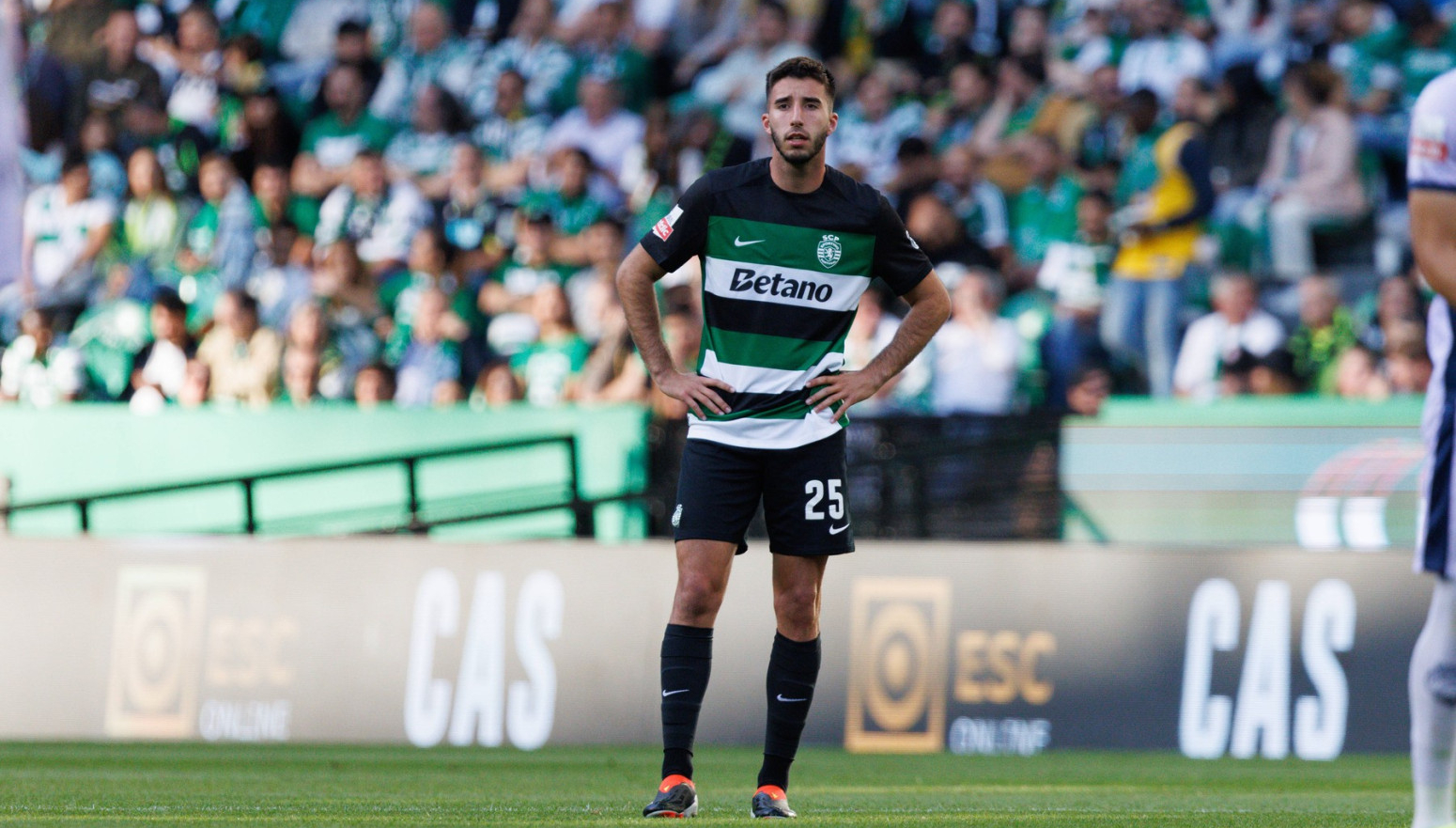 Junajted traži pojačanja u Portugalu