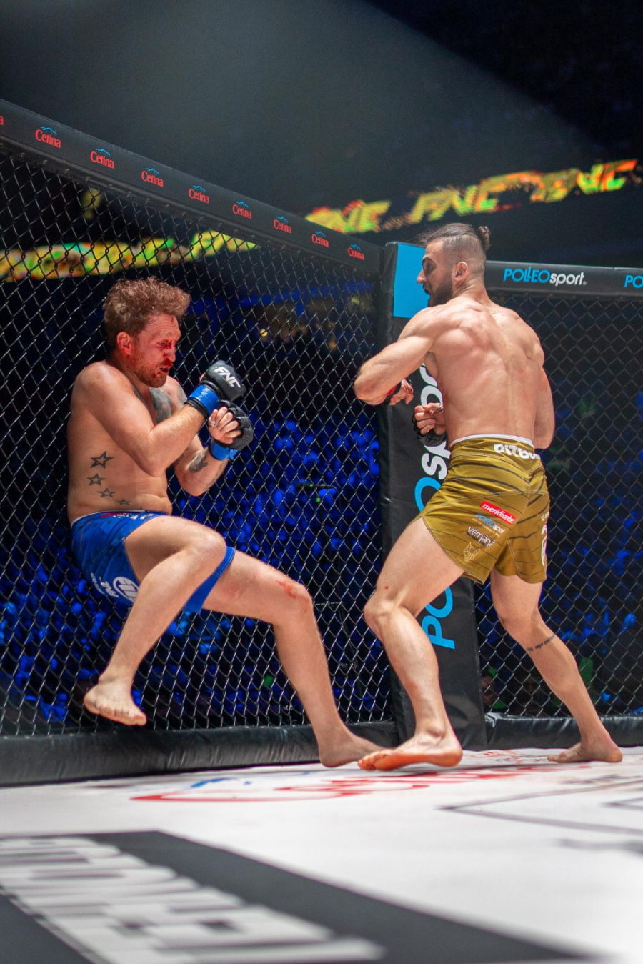 Srpski MMA borac u nikad boljoj formi