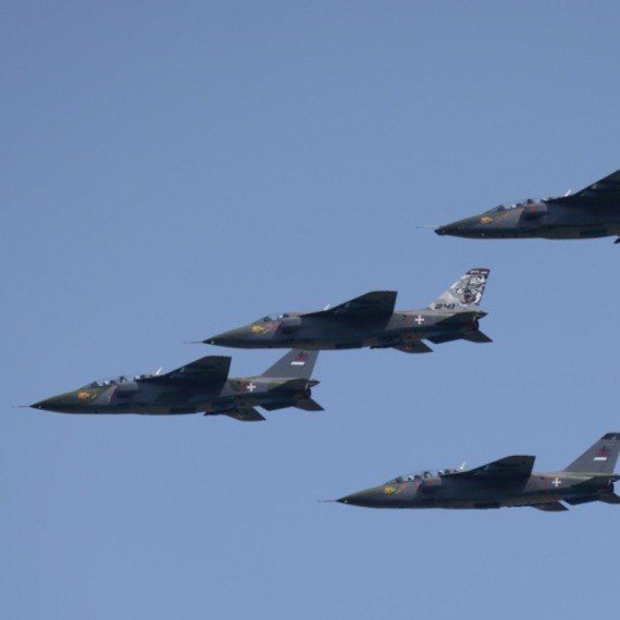 Puca na jugu: Poslati lovci