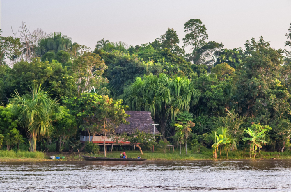 Pleme dobilo internet: Odmah se navukli na porno filmove VIDEO